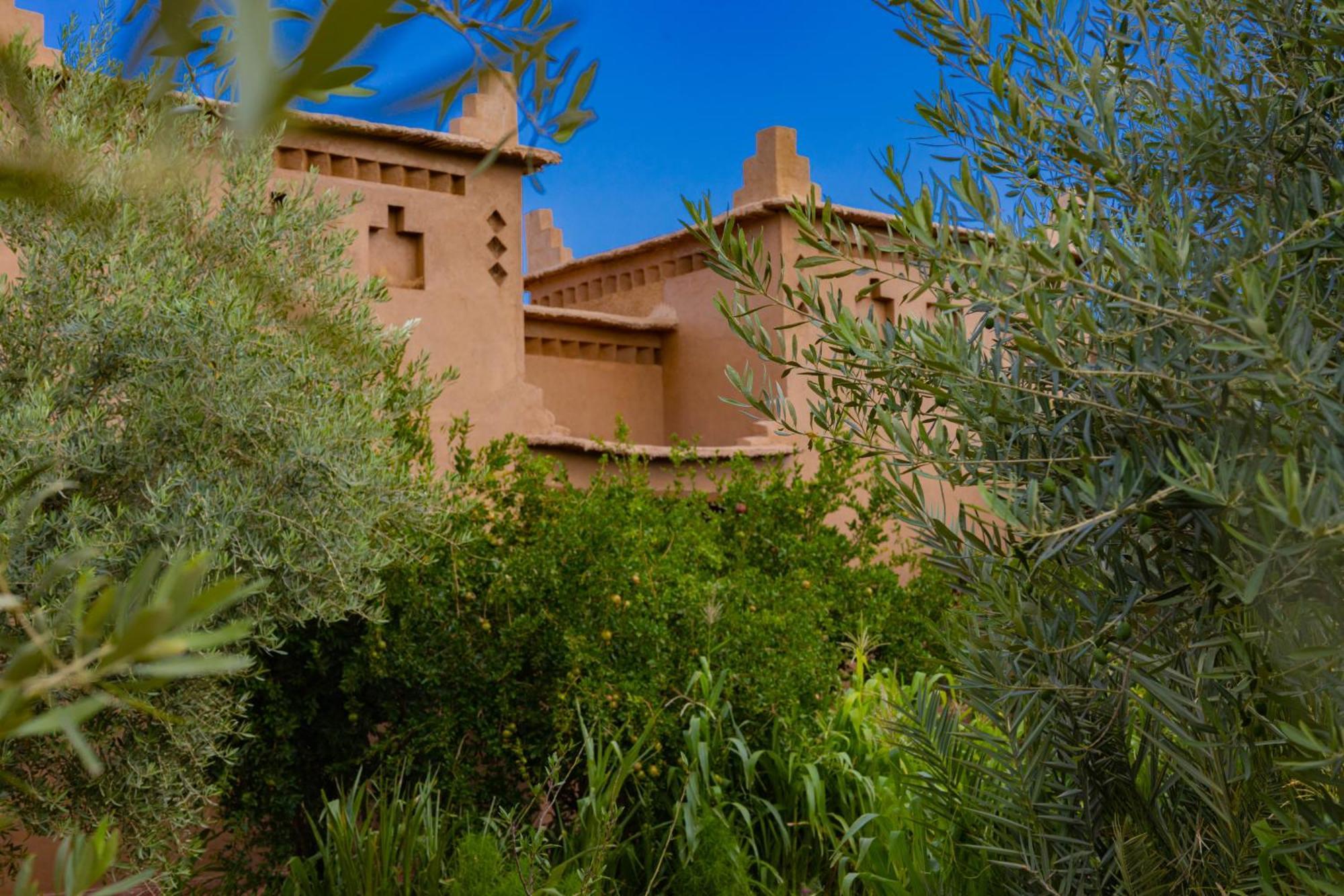 Maison D'Hote Amridil Skoura Bagian luar foto