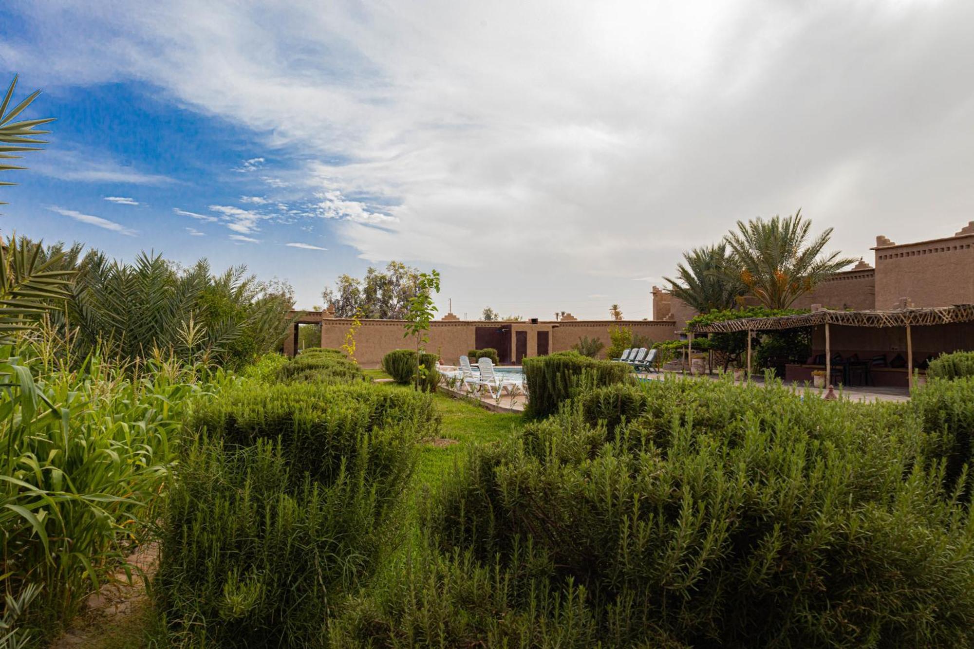 Maison D'Hote Amridil Skoura Bagian luar foto