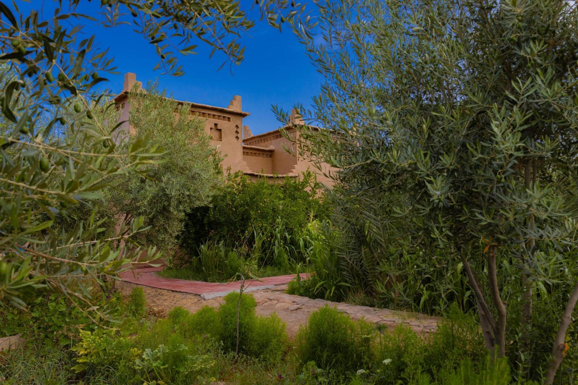 Maison D'Hote Amridil Skoura Bagian luar foto