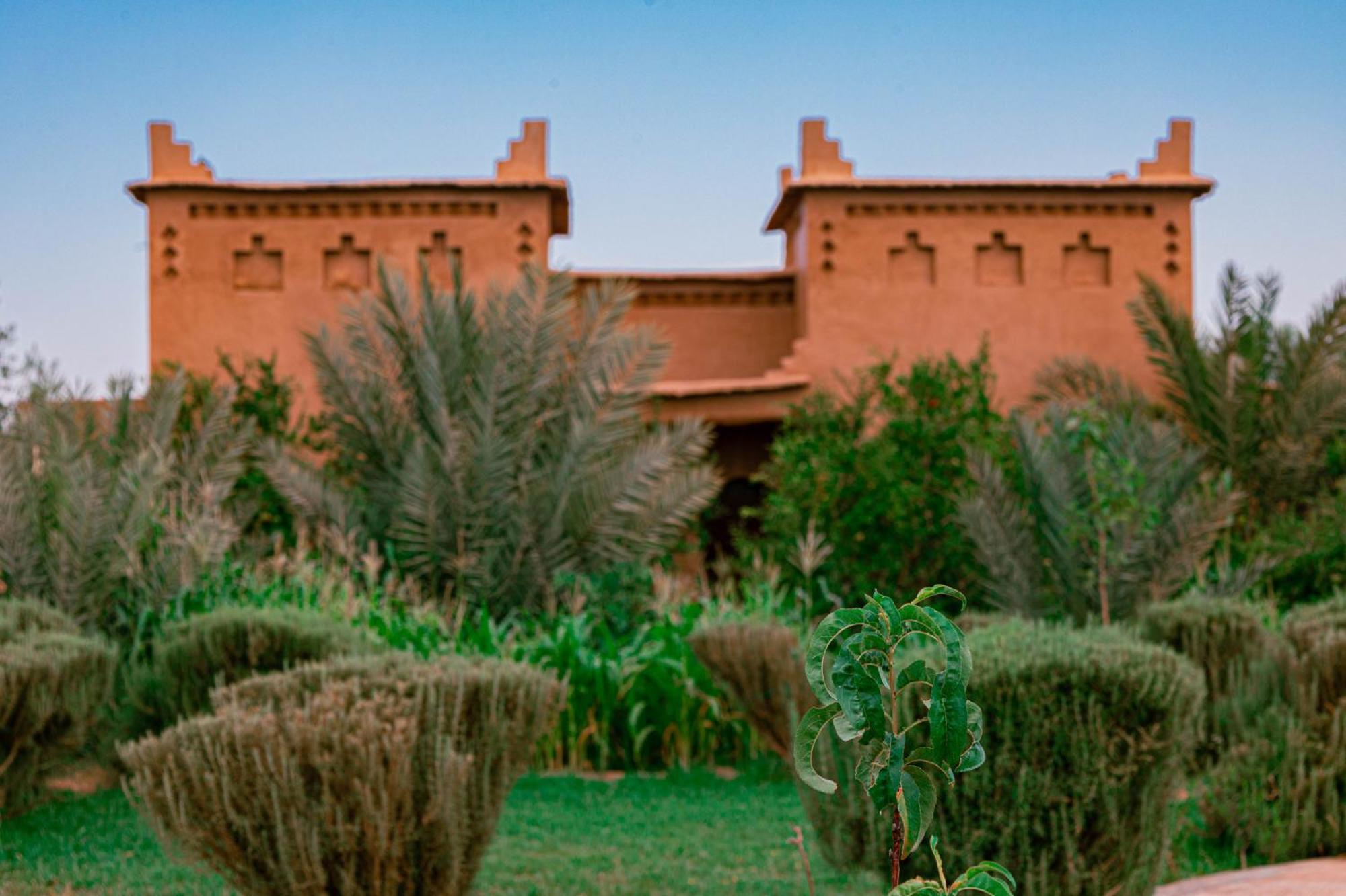 Maison D'Hote Amridil Skoura Bagian luar foto