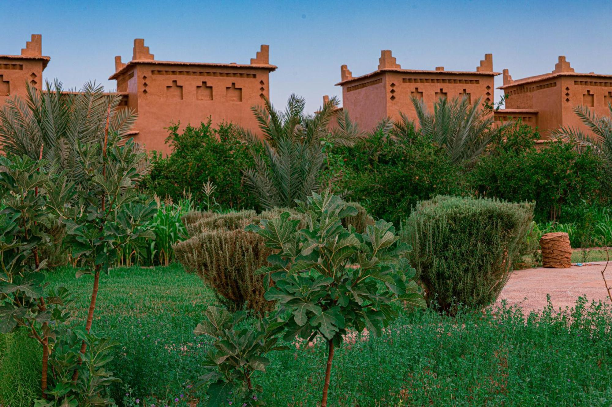 Maison D'Hote Amridil Skoura Bagian luar foto